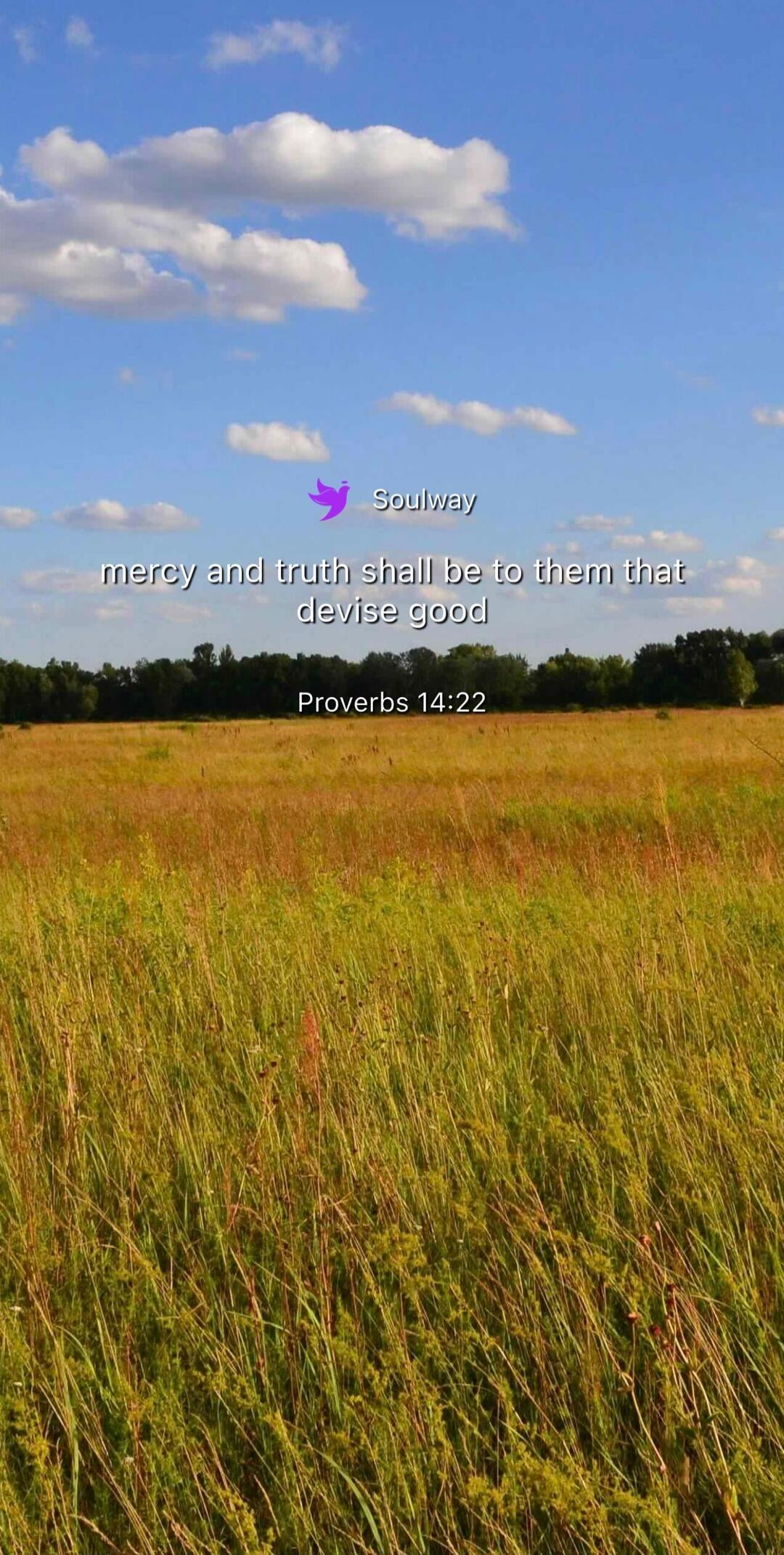 Soulway mercy and truth shall be to them that devise good Proverbs 14:22