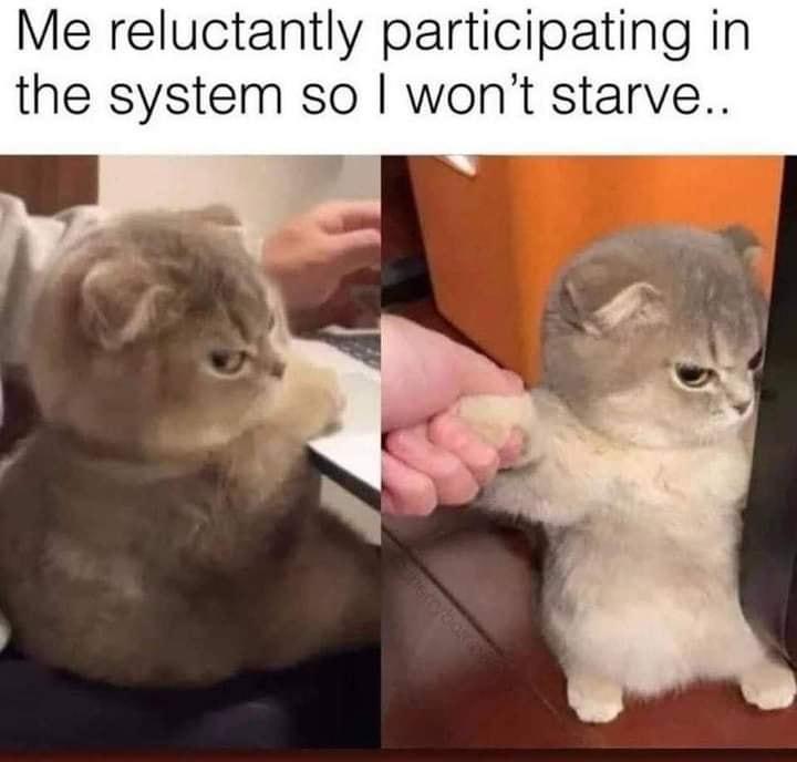 Me reluctantly participating in the system so wont starve