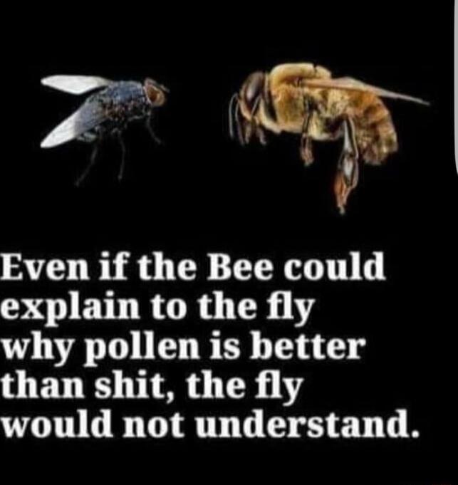 Even if the Bee could DI ETHRTR TR Y why pollen is better than shit the fly would not understand