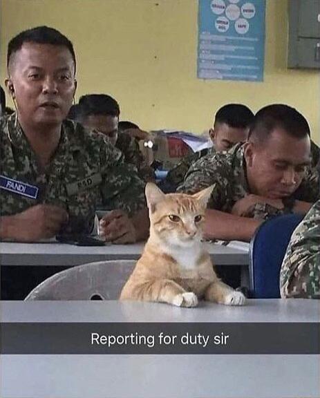 G eTelgtlalo el dte VI3 d