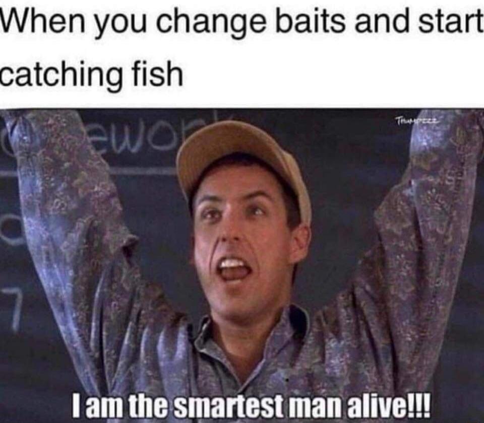 When you change baits and start catching fish
I am the smartest man alive!!!