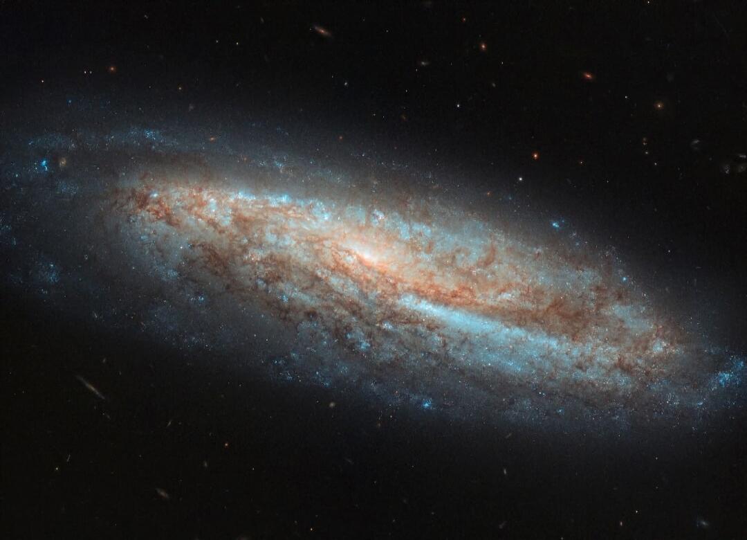 Session ID: 1057278.