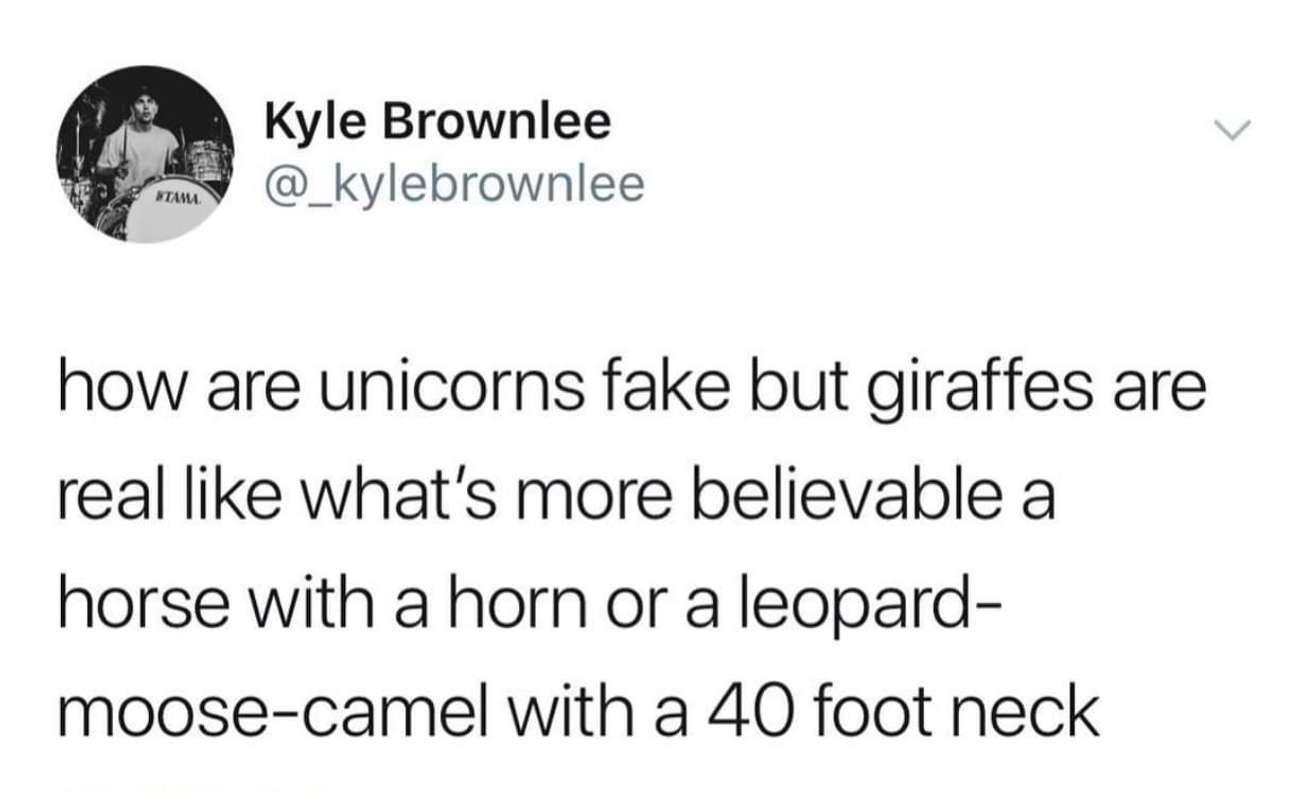 Pl Kyle Brownlee sy _kylebrownlee how are unicorns fake but giraffes are real like whats more believable a horse with a horn or a leopard moose camel with a 40 foot neck