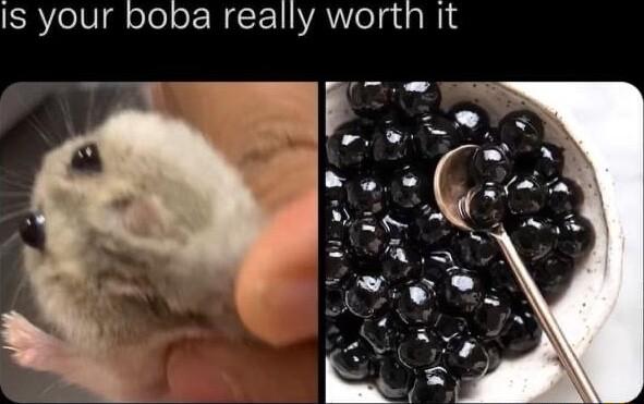 SRYelVelelol N1 AelgtaNls