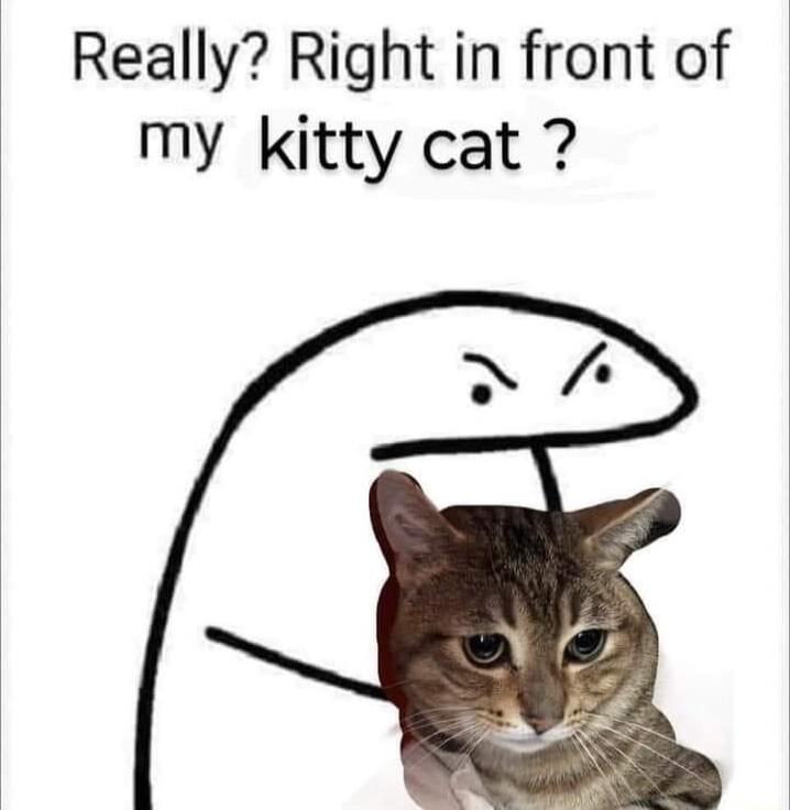 Really Right in front of my kitty cat N