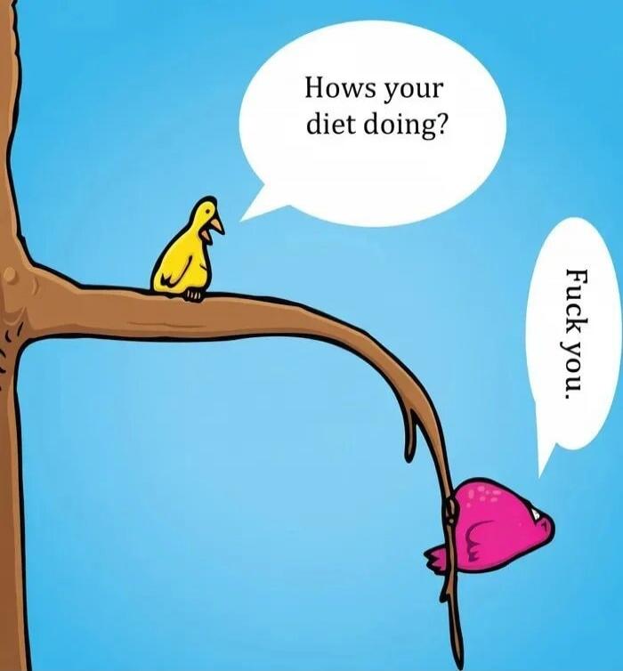 Hows your diet doing? Fuck you.