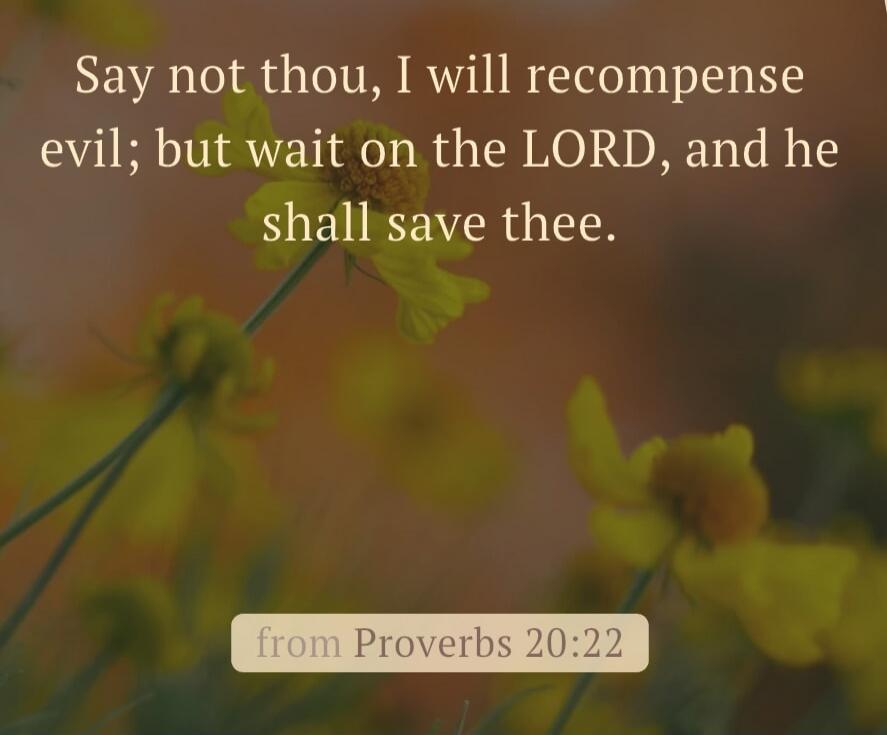 Say not thou, I will recompense evil; but wait on the LORD, and he shall save thee. from Proverbs 20:22