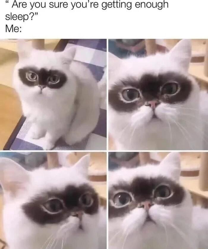 Are you sure you re getting enough