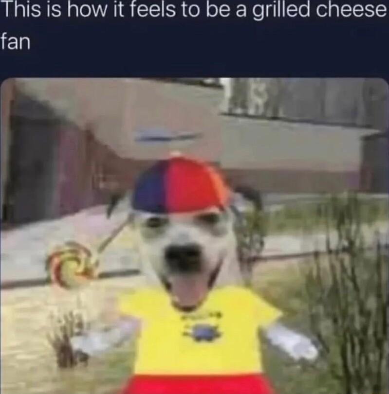 Inisis how it feels to be a grilled cheese fan