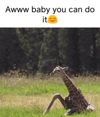 Awww baby you can do its