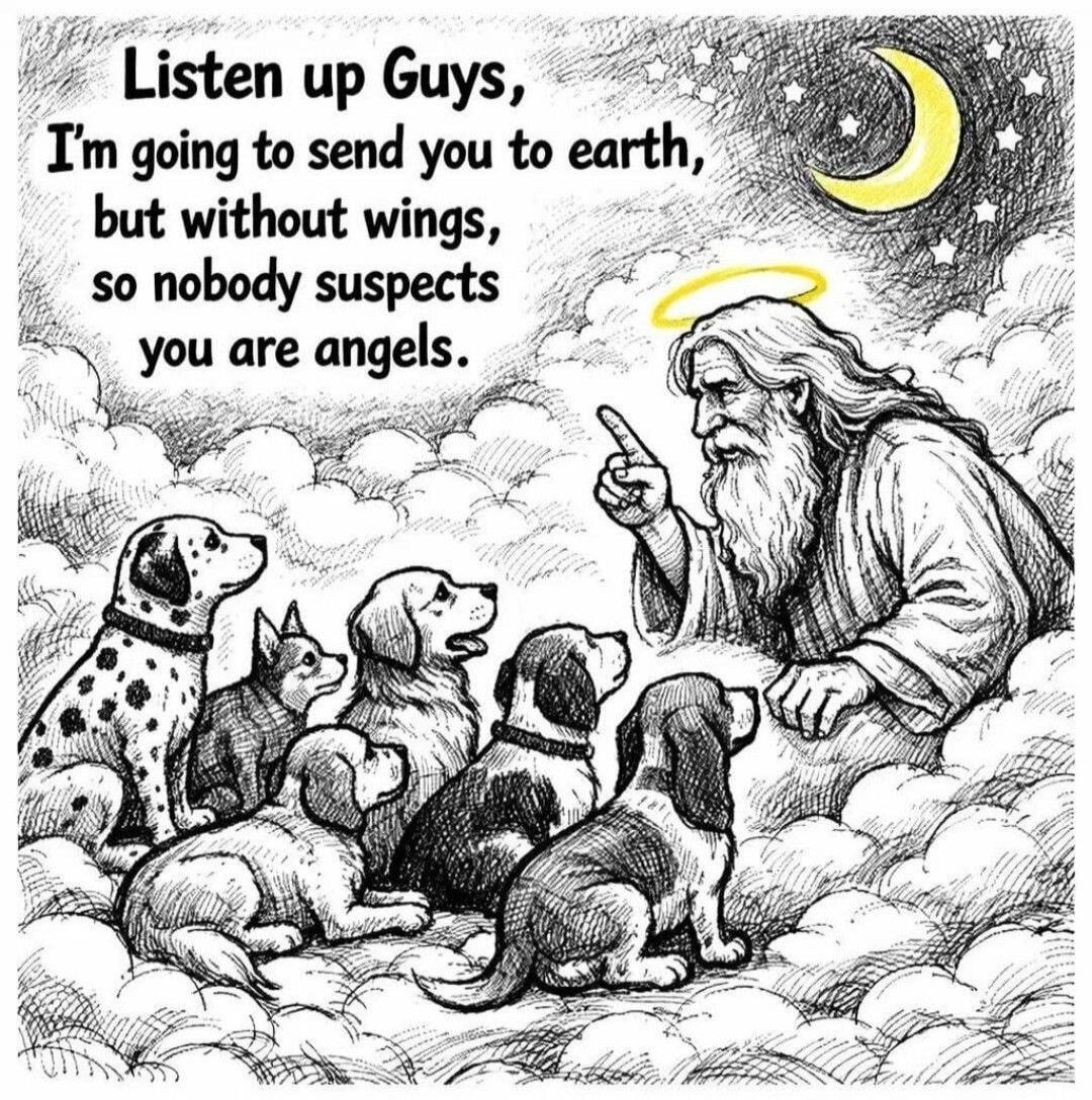 Listen up Guys, I'm going to send you to earth, but without wings, so nobody suspects you are angels.