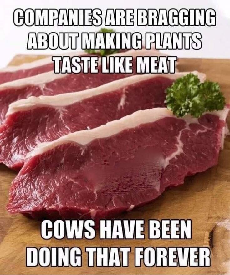 COMPANIES ARE BRAGGING ABOUT MAKING PLANTS TASTE LIKE MEAT. COWS HAVE BEEN DOING THAT FOREVER.