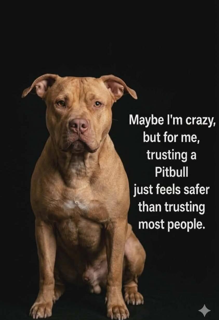 Maybe I'm crazy, but for me, trusting a Pitbull just feels safer than trusting most people.