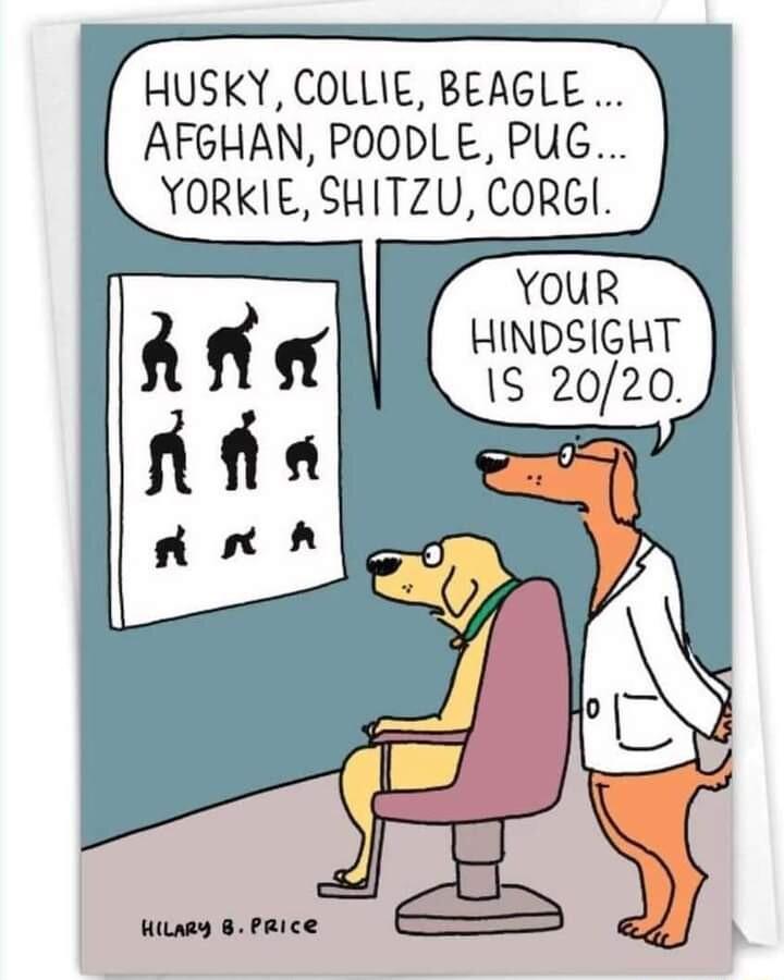 HUSKY COLLIE BEAGLE AFGHAN POODLE PUG YORKIE SHITZU CORGI YOUR HINDSIGHT 1S 2020 Hiary 8 PRIce