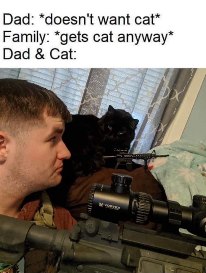 Dad doesnt want cat Family gets cat anyway Dad Cat