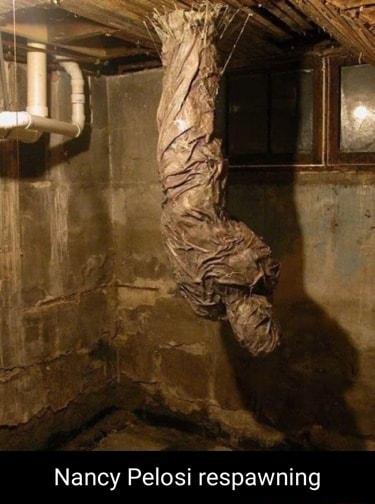 Nancy Pelosi respawning