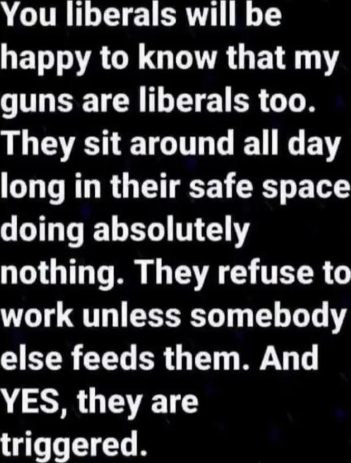 You liberals will be happy to know that my guns are liberals too. They sit around all day long in their safe space doing absolutely nothing. They refuse to work unless somebody else feeds them. And YES, they are triggered.
