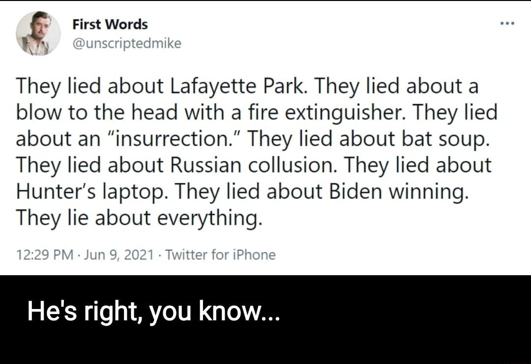 First Words Yy unscriptedmike They lied about Lafayette Park They lied about a blow to the head with a fire extinguisher They lied about an insurrection They lied about bat soup They lied about Russian collusion They lied about Hunters laptop They lied about Biden winning They lie about everything 1229 PM Jun 9 2021 Twitter for iPhone Hes right you know