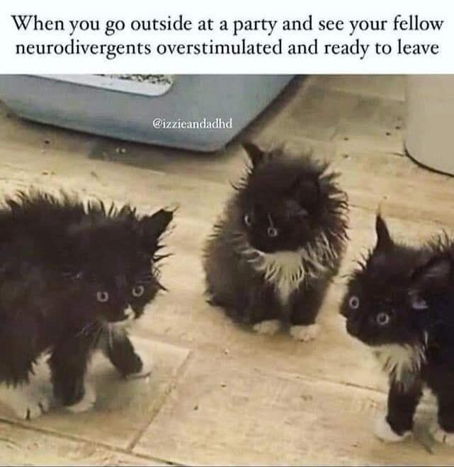When you go outside at a party and see your fellow neurodivergents overstimulated and ready to leave