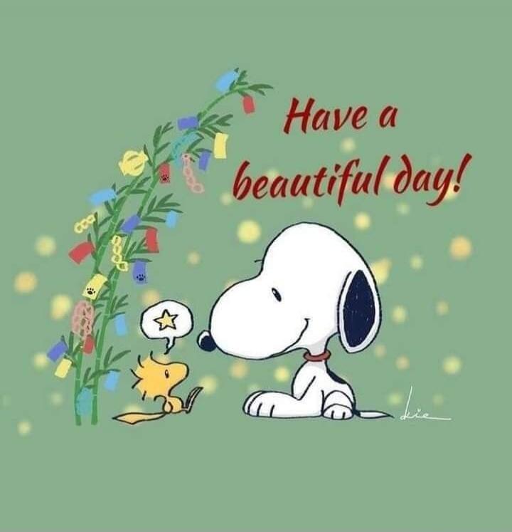 Have a beautiful day!