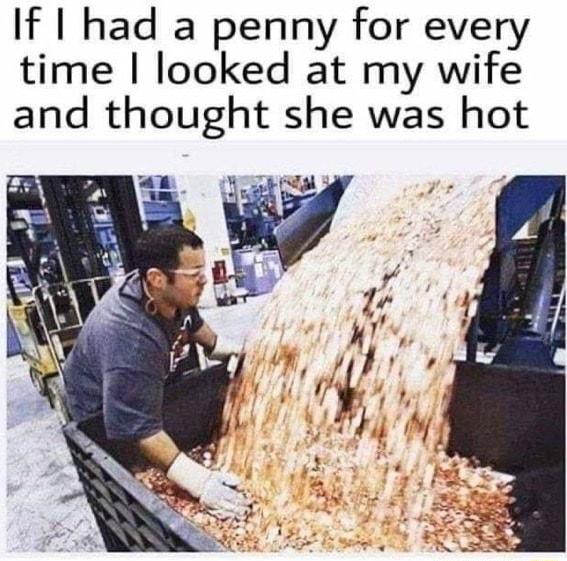 If I had a penny for every time looked at my wife and thought she was hot