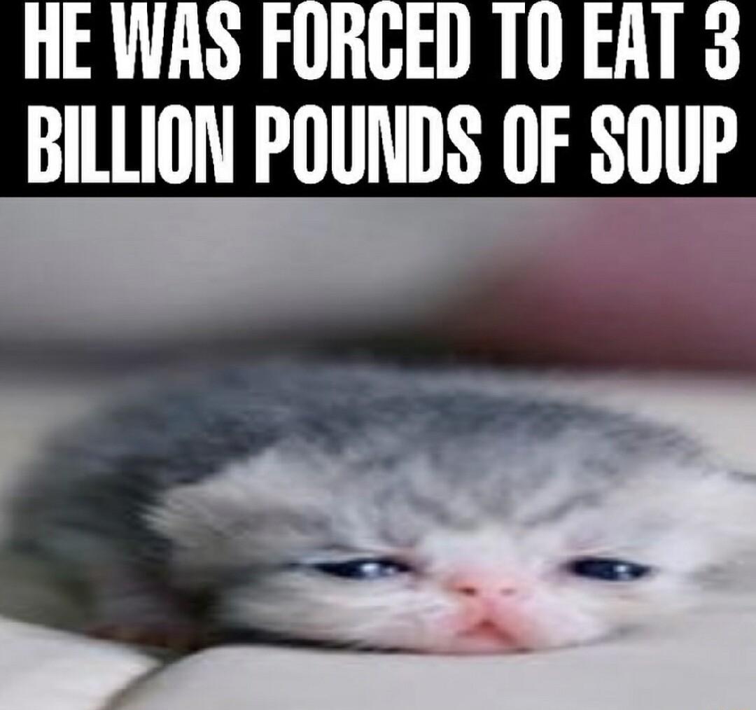 HE WAS FORGED T0 EAT BILLION POUNDS OF SOUP