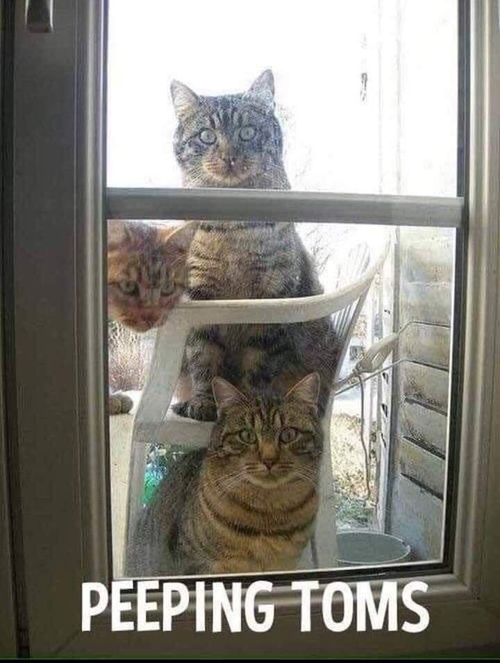 PEEPING TOMS