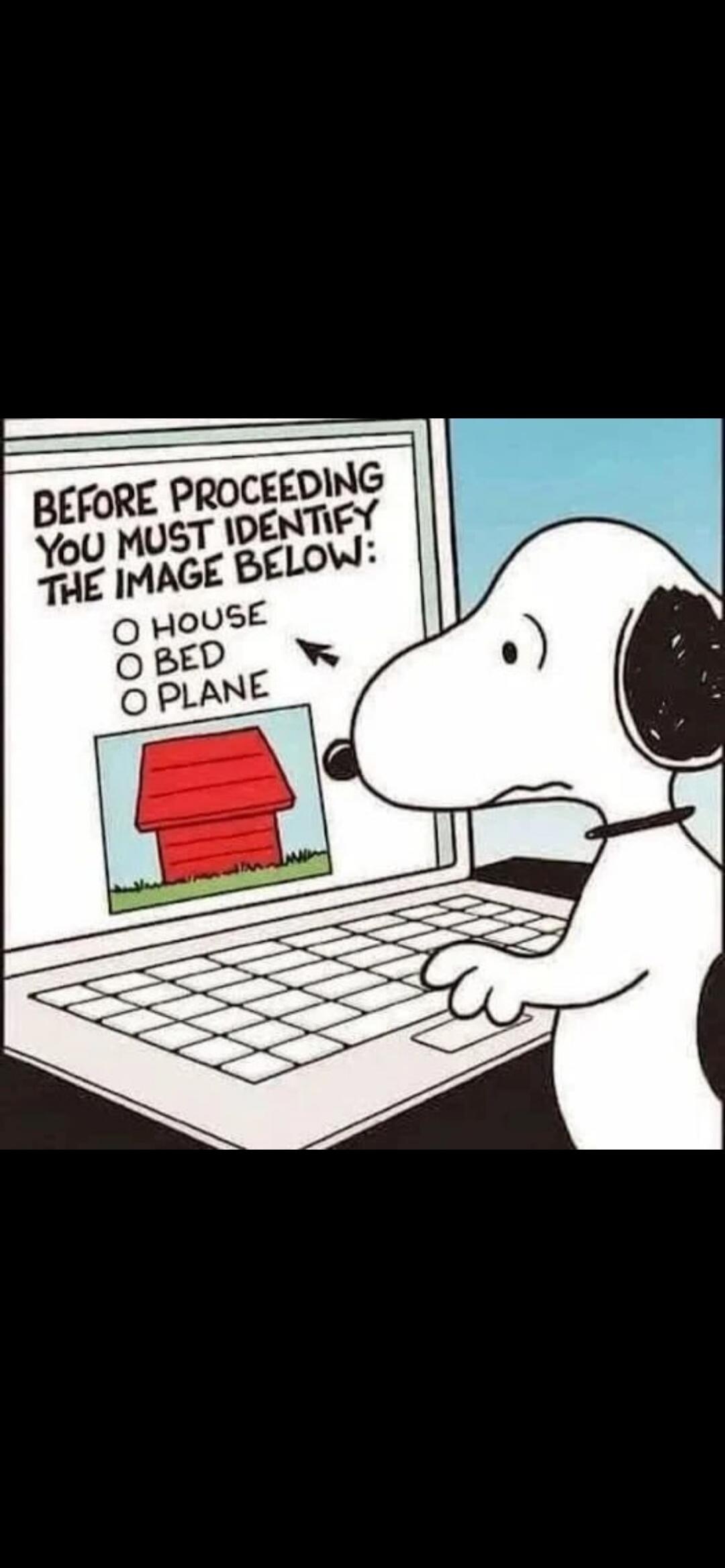 BEFORE PROCEEDING YOU MUST IDENTIFY THE IMAGE BELOW: O HOUSE O BED O PLANE