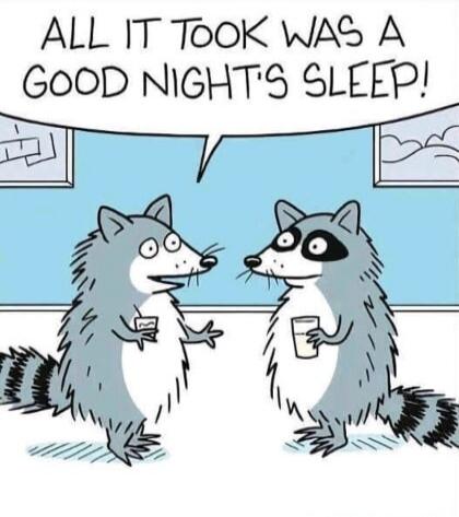 ALL IT TOOK WAS A GOOD NIGHT'S SLEEP!