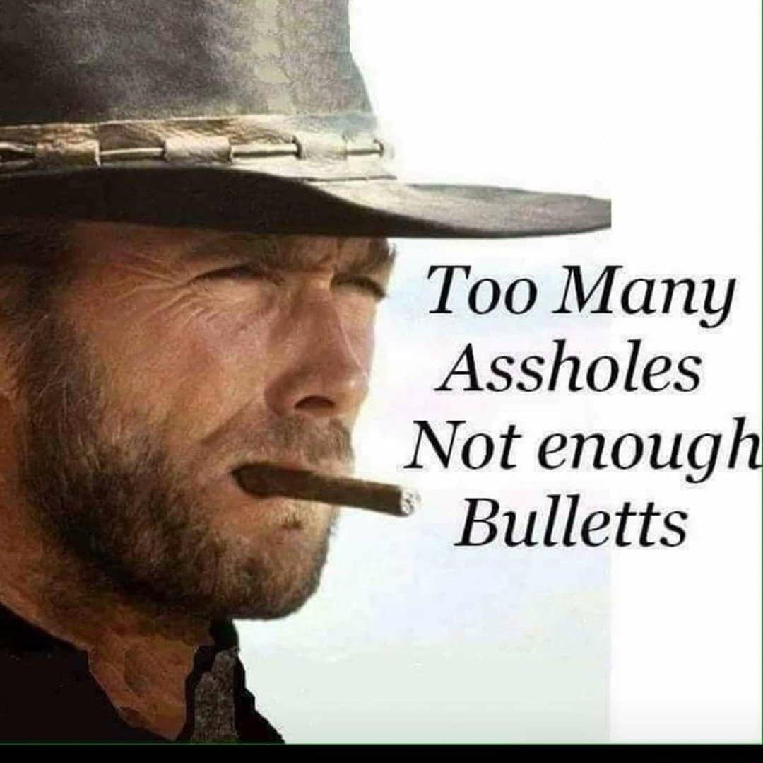 Too Many Assholes Not enough Bulletts