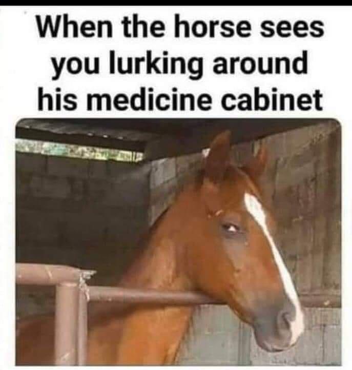 When the horse sees you lurking around his medicine cabinet