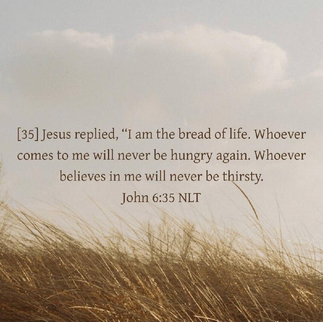 [35] Jesus replied, 