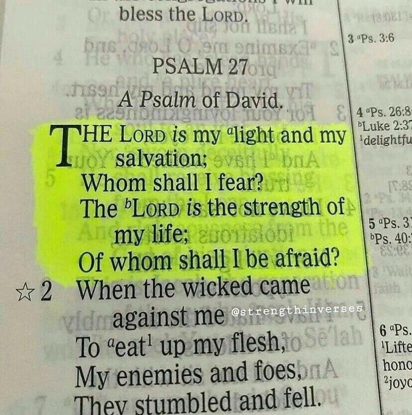 PSALM 27 A Psalm of David. THE LORD is my light and my salvation; Whom shall I fear? The LORD is the strength of my life; Of whom shall I be afraid? When the wicked came against me To 'eat' up my flesh, My enemies and foes, They stumbled and fell. @strengthinverses