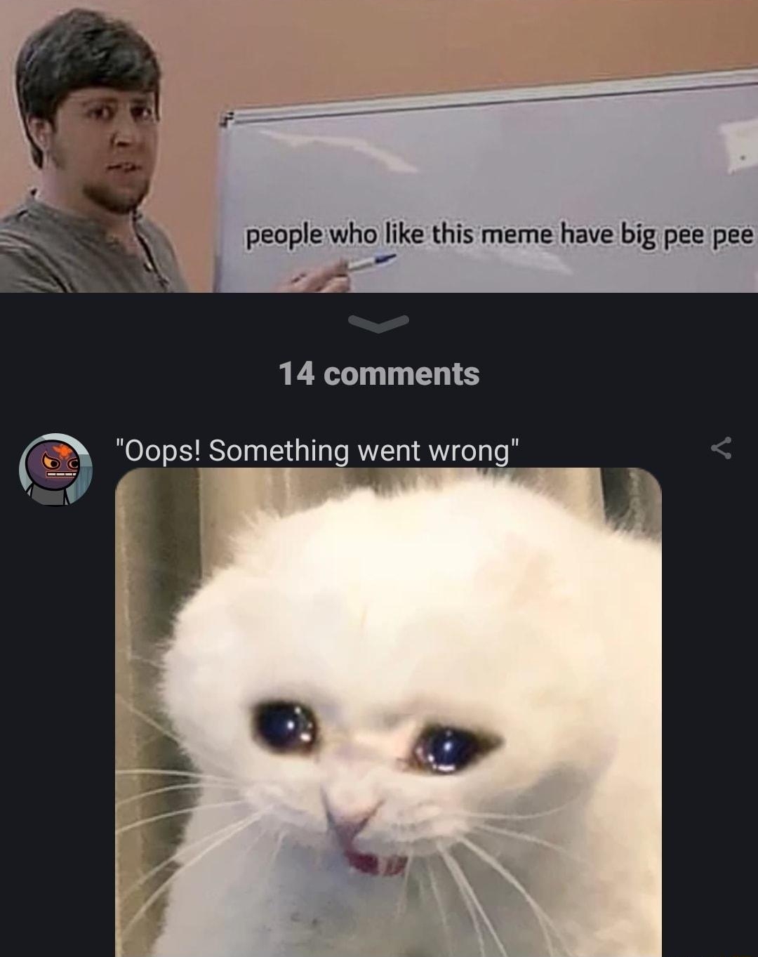 14 comments Oops Something went wrong