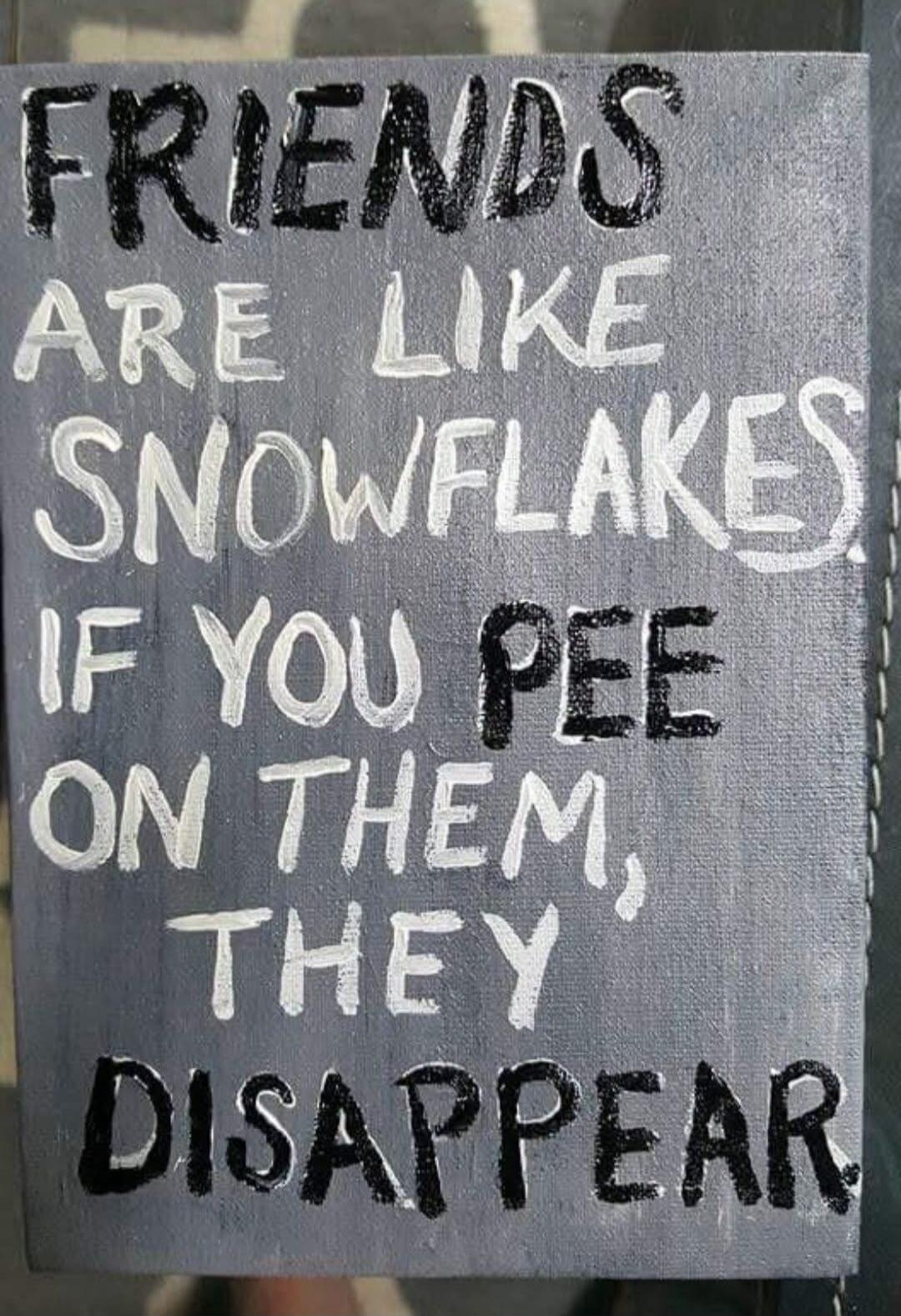 FRIENDS ARE LIKE SNOWFLAKES. IF YOU PEE ON THEM, THEY DISAPPEAR.