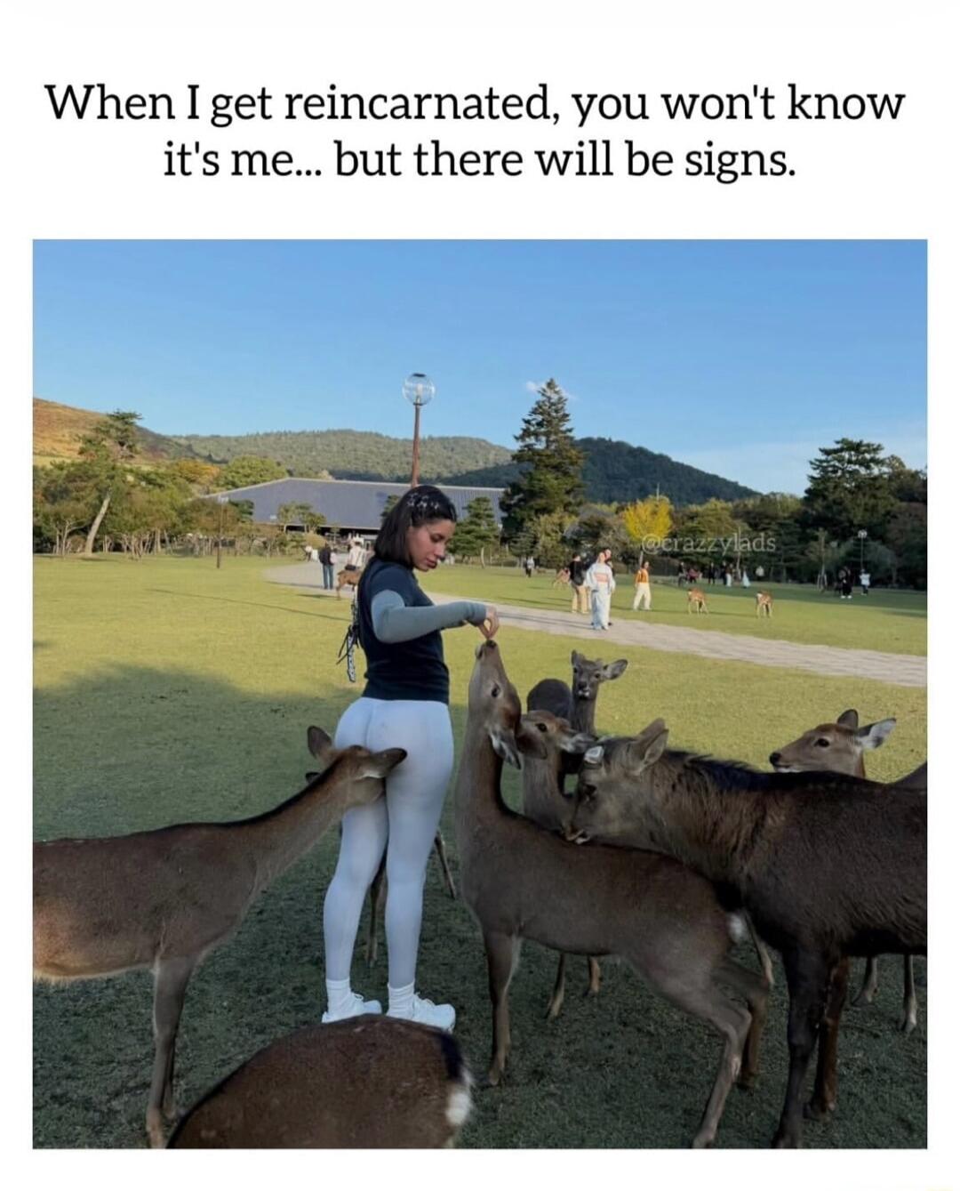 When I get reincarnated, you won't know it's me... but there will be signs.