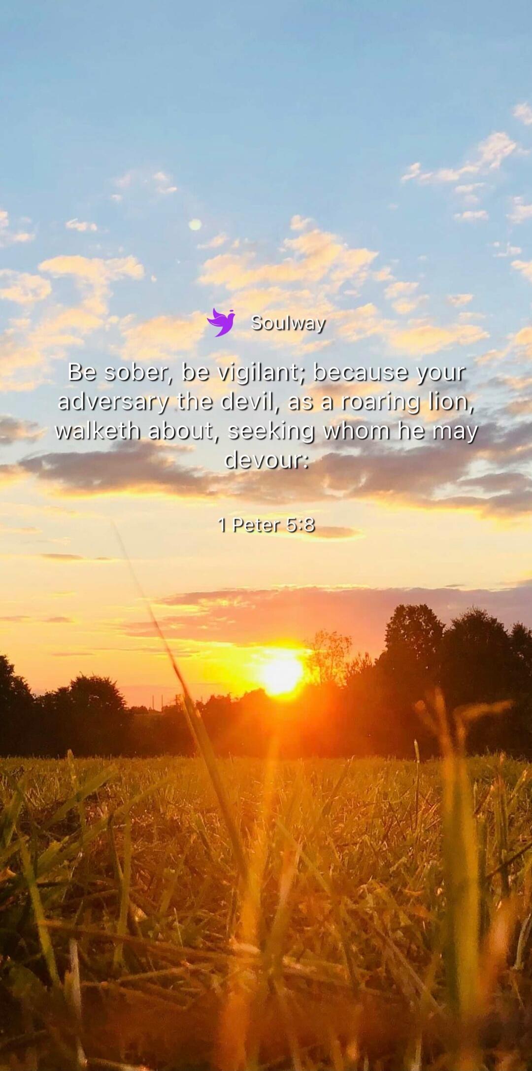 Soulway Be sober, be vigilant; because your adversary the devil, as a roaring lion, walketh about, seeking whom he may devour: 1 Peter 5:8