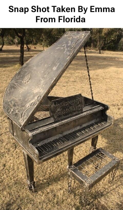 Snap Shot Taken By Emma From Florida