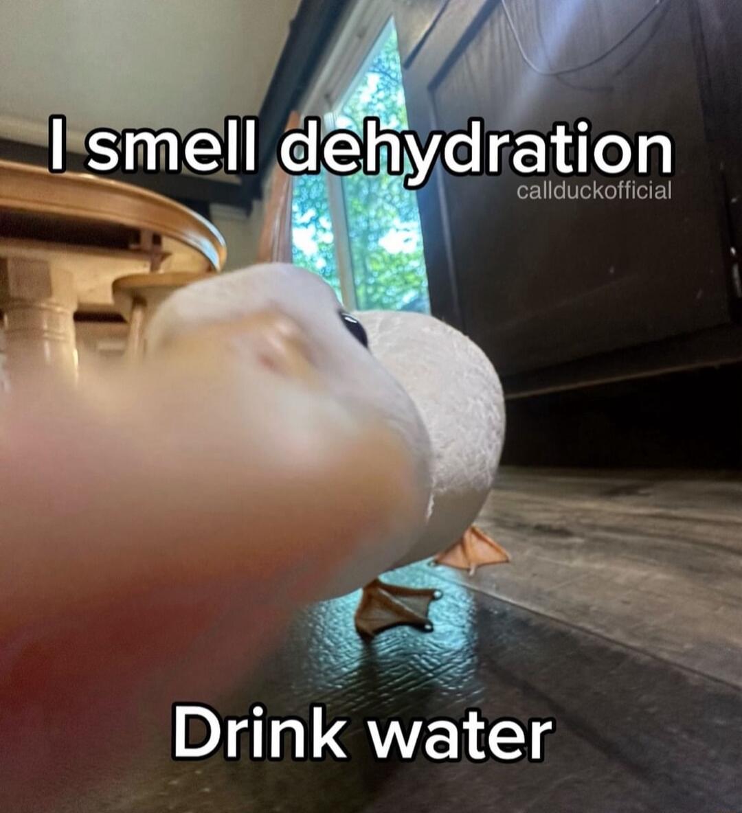 l smeII dehydration callduckofficial Drink water