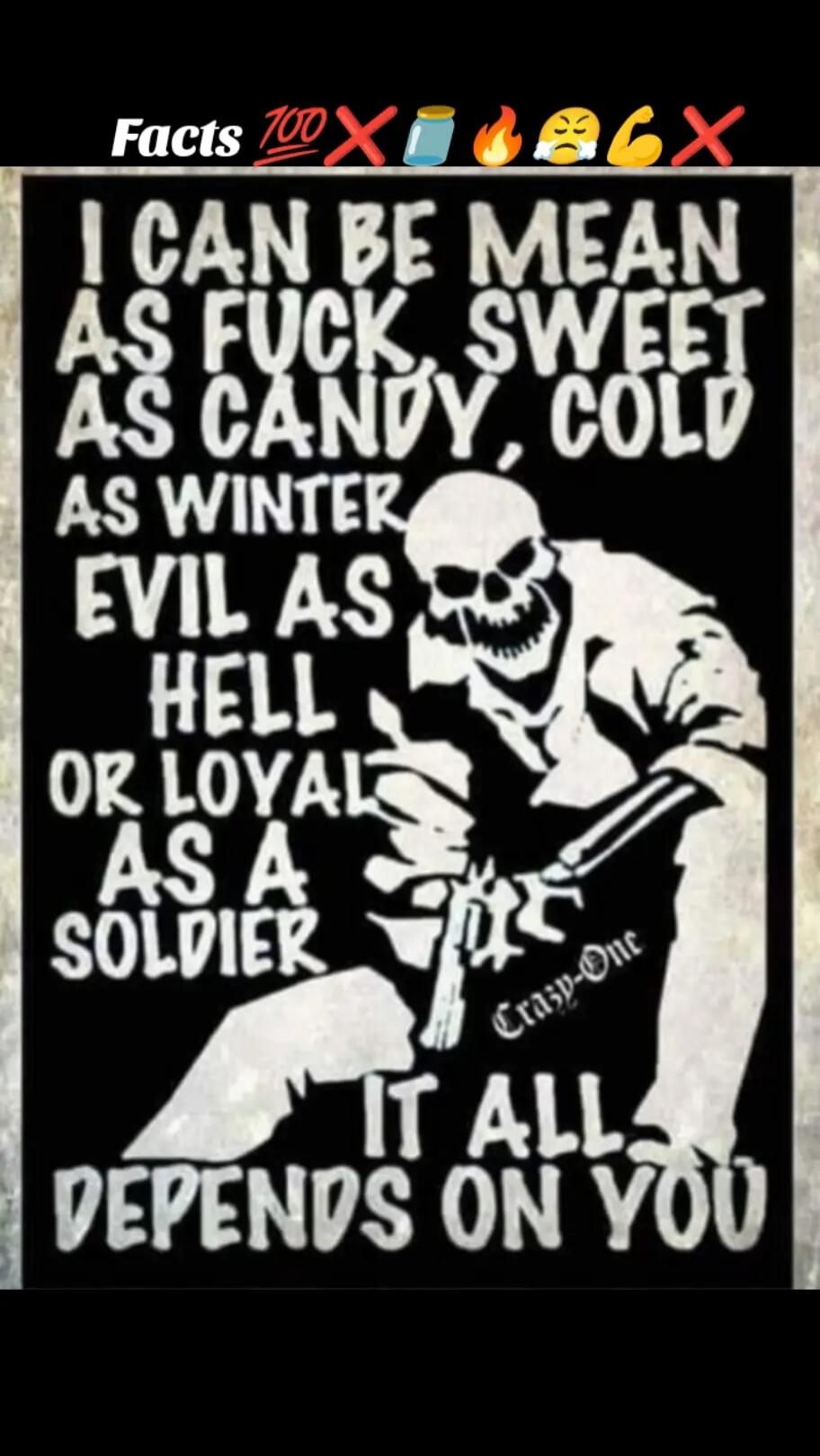 I CAN BE MEAN AS FUCK
SWEET AS CANDY, COLD AS WINTER
EVIL AS HELL OR LOYAL AS A SOLDIER
IT ALL DEPENDS ON YOU
