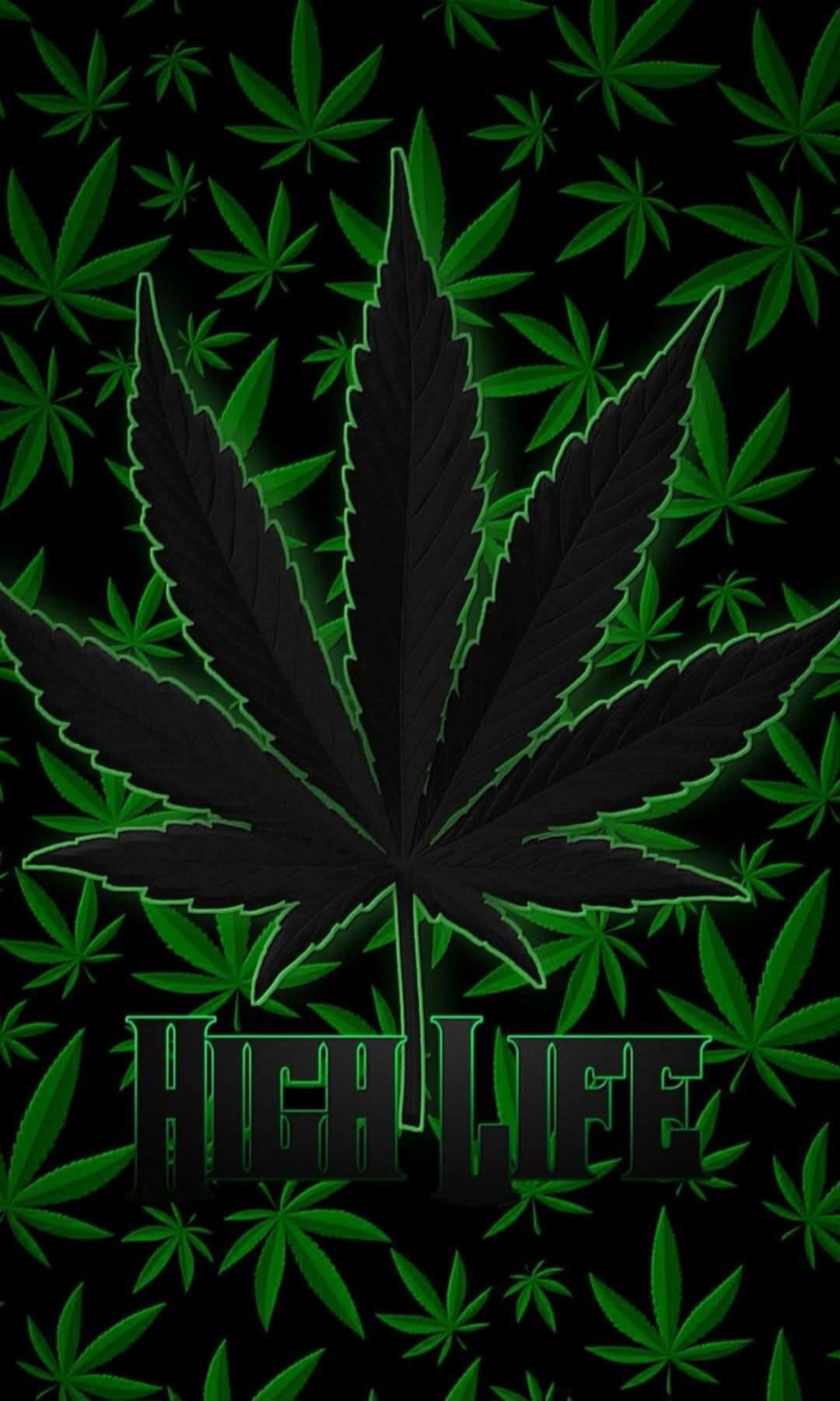 HIGH LIFE