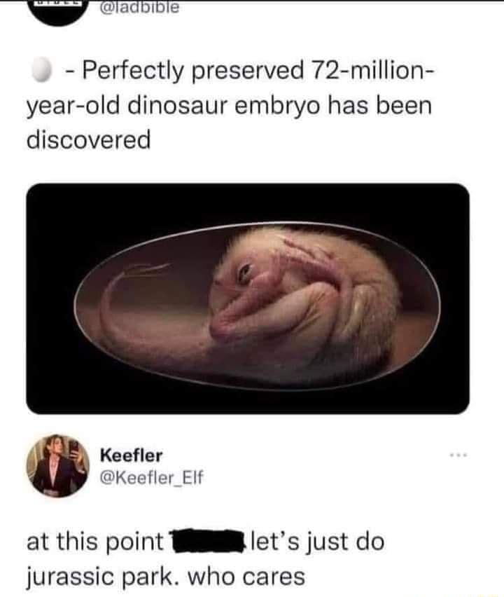 v ladbibie Perfectly preserved 72 million year old dinosaur embryo has been discovered Keefler Keefler_Elf at this point Wl lets just do jurassic park who cares