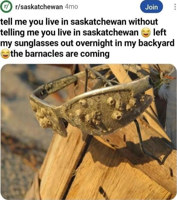 rsaskatchewan 4mo tell me you live in saskatchewan without telling me you live in saskatchewan left my sunglasses out overnight in my backyard i the barnacles are coming