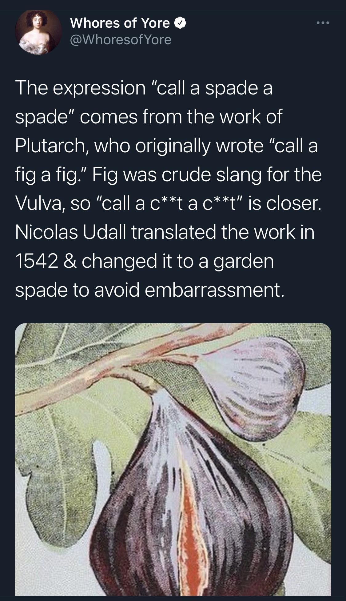 b Whores of Yore WhoresofYore The expression call a spade a spade comes from the work of Plutarch who originally wrote call a fig a fig Fig was crude slang for the Vulva so call a ct a ct is closer Nefe Y Sle I RTINS E1To Ria AW olg qlg ISYY R eigrIplello Rl o R NeFIge s1g spade to avoid embarrassment