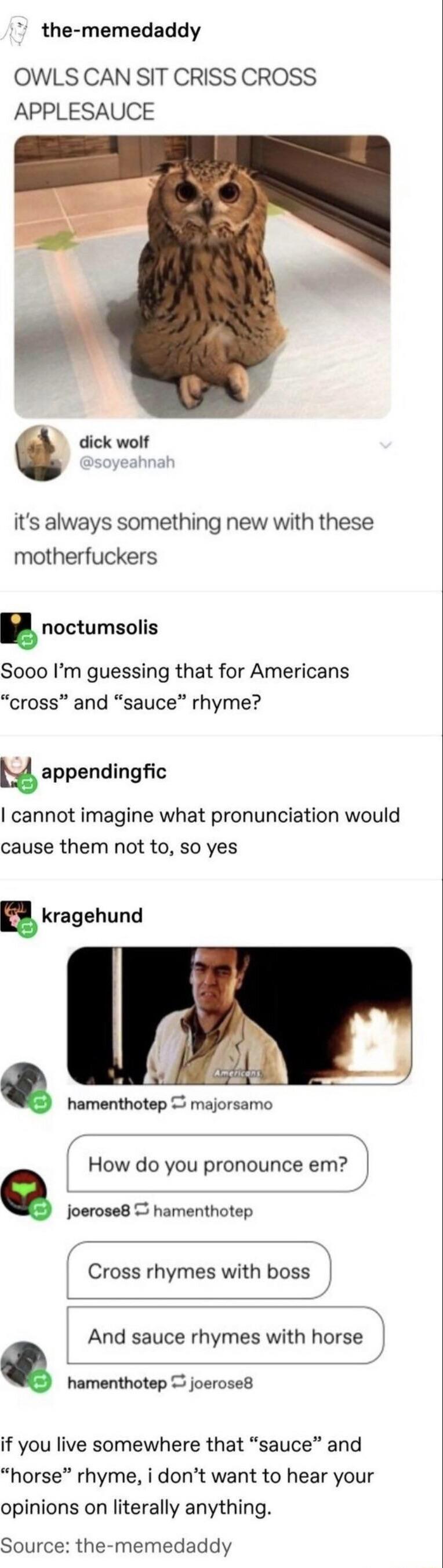 the memedaddy OWLS CAN SIT CRISS CROSS APPLESAUCE dick wolf its always something new with these motherfuckers noctumsolis Sooo Im guessing that for Americans cross and sauce rhyme appendingfic cannot imagine what pronunciation would cause them not to so yes hamenthotep majorsamo How do you pronounce em w joerose8 hamenthotep Cross rhymes with boss N And sauce rhymes with horse hamenthotep joerose8