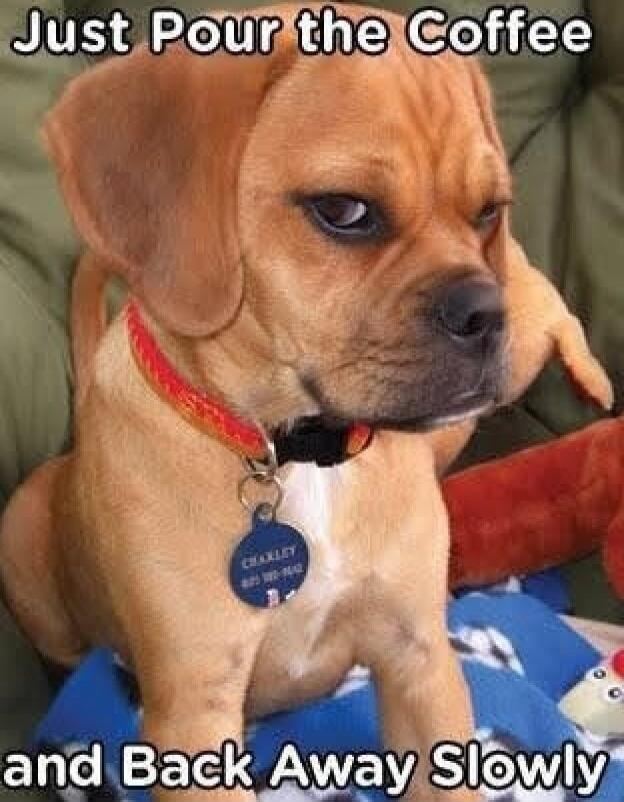 Just Pour the Coffee and Back Away Slowly