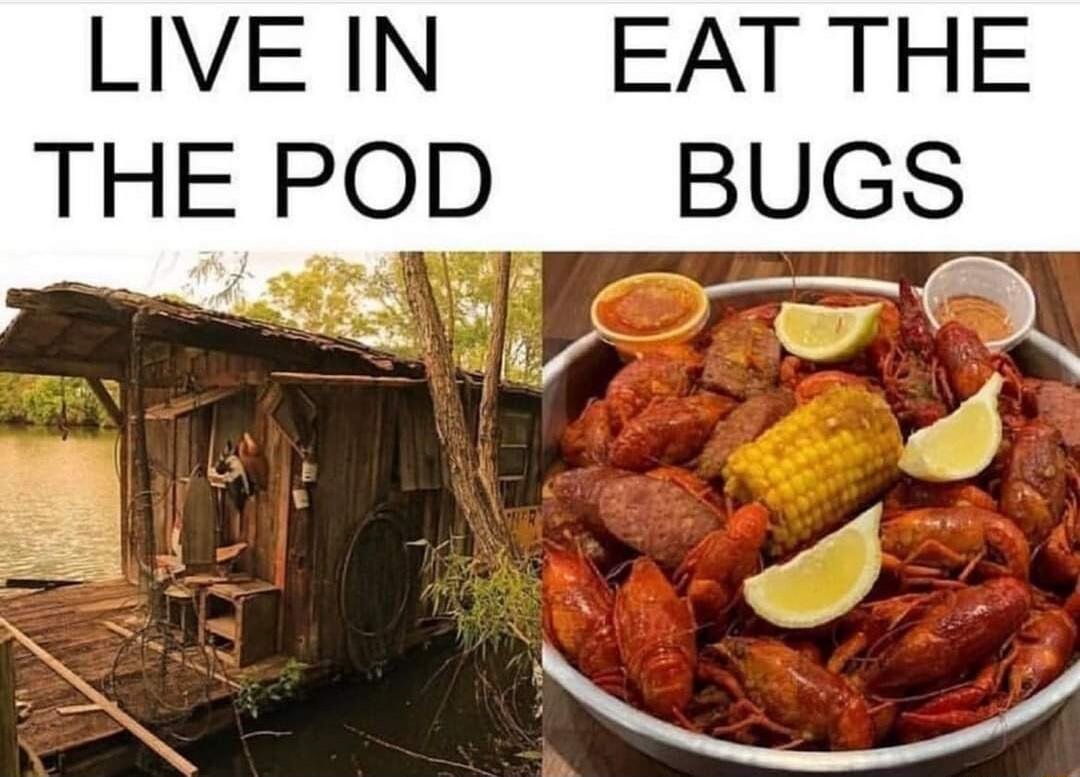 LIVEIN EAT THE THE POD BUGS