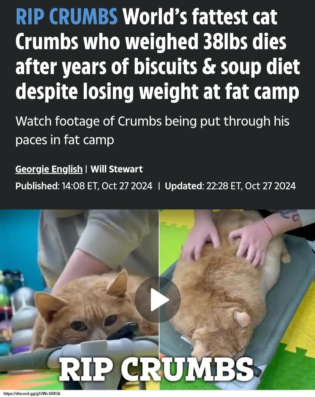 RIP CRUMBS Worlds fattest cat Crumbs who weighed 38Ibs dies after years of biscuits soup diet despite losing weight at fat camp Watch footage of Crumbs being put through his paces in fat camp Georgie English Will Stewart Published 1408 ET Oct 272024 Updated 2228 ET Oct 27 2024 oy S 74 rw M f r i __RIP CRUMB