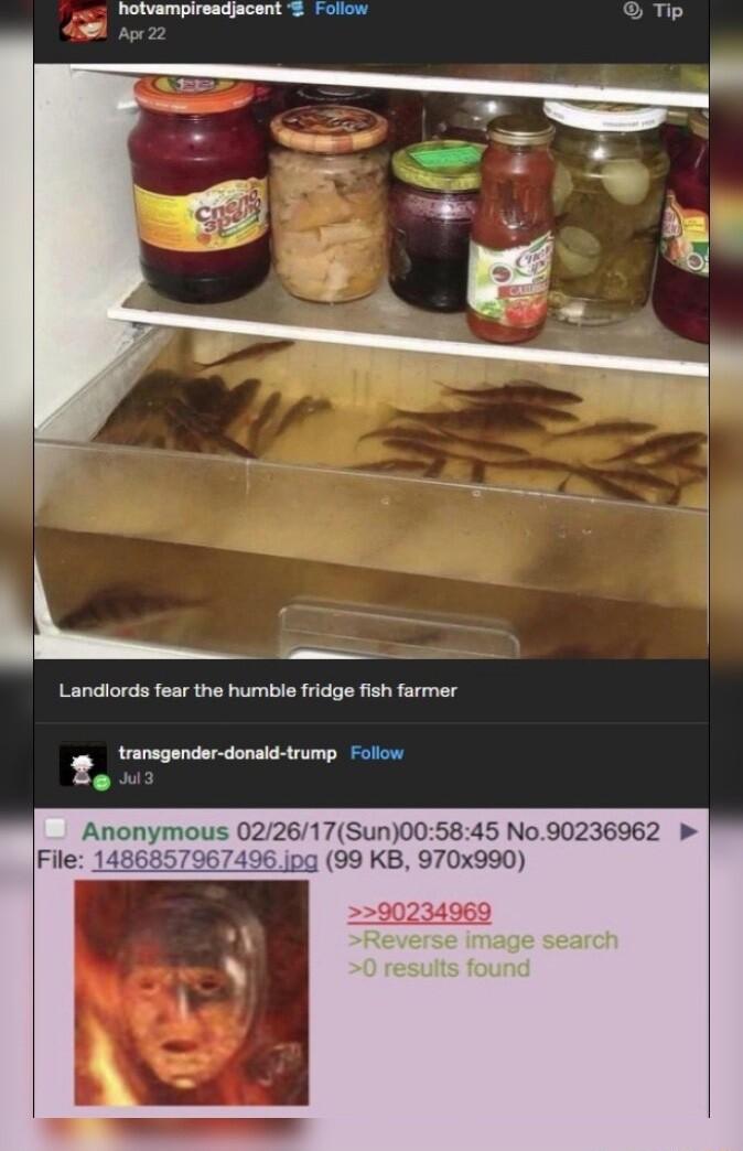 AR Pe L Landiords fear the humble fridge fish farmer z Anonymous 022617Sun005845 No90236962 File 99 KB 970x990