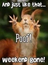 And just like that... Poof! weekend gone!